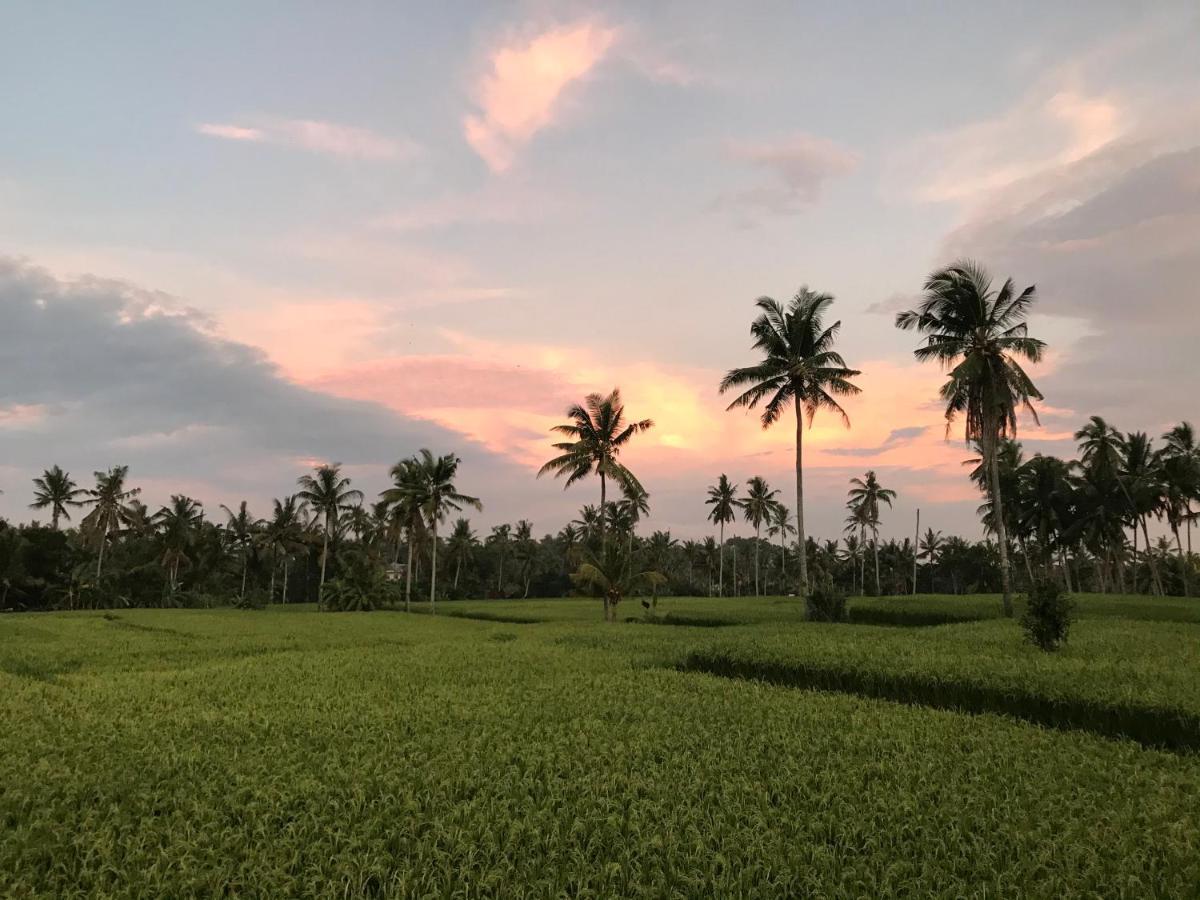 Sunset Pandawa Villa Ubud Exteriér fotografie