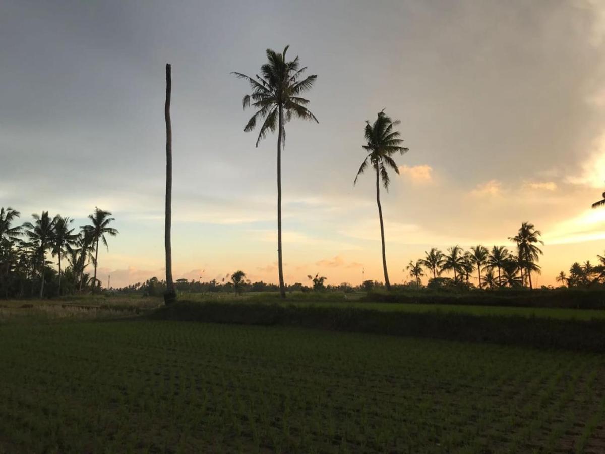 Sunset Pandawa Villa Ubud Exteriér fotografie