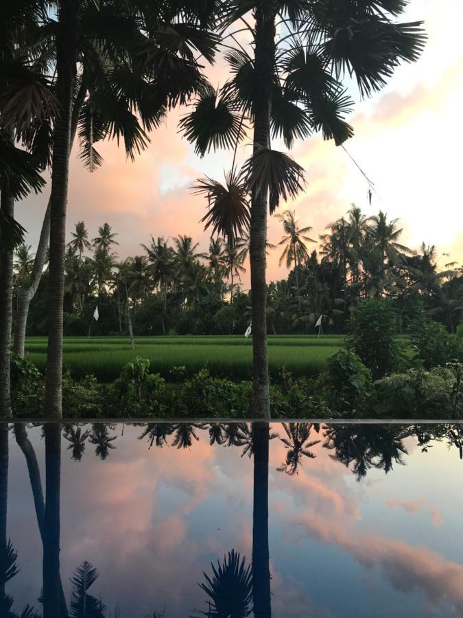 Sunset Pandawa Villa Ubud Exteriér fotografie