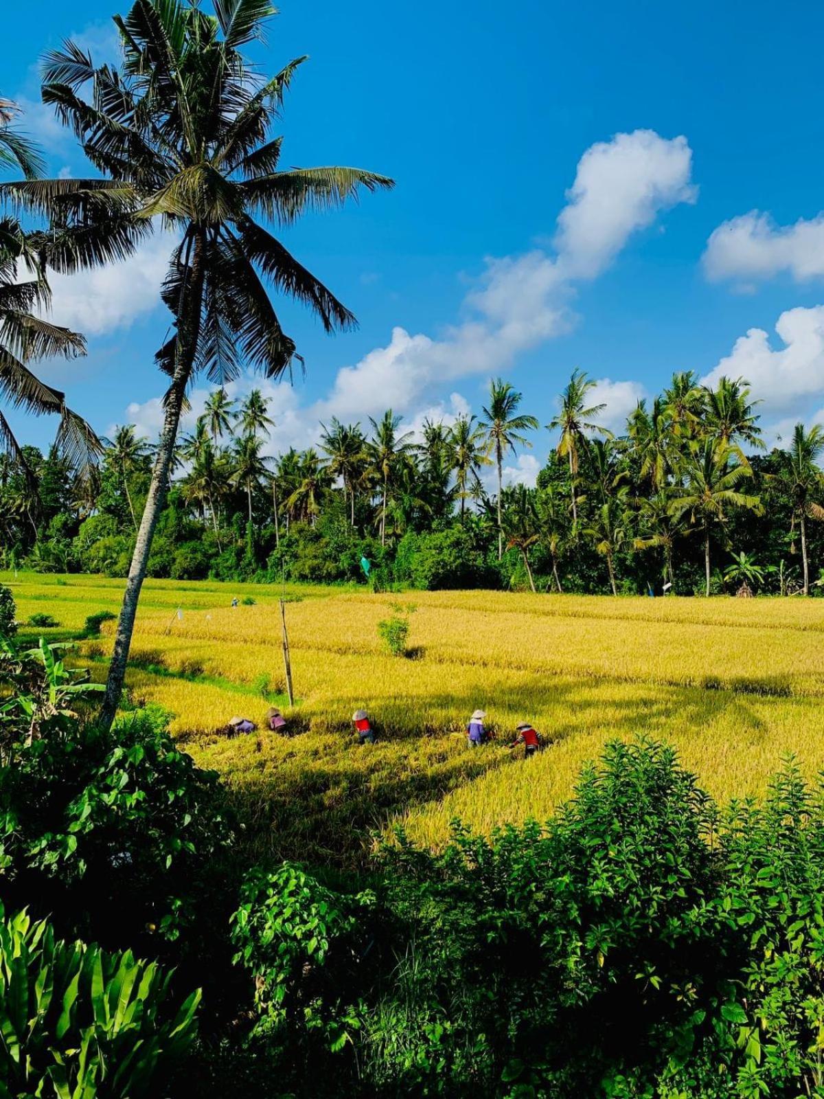 Sunset Pandawa Villa Ubud Exteriér fotografie