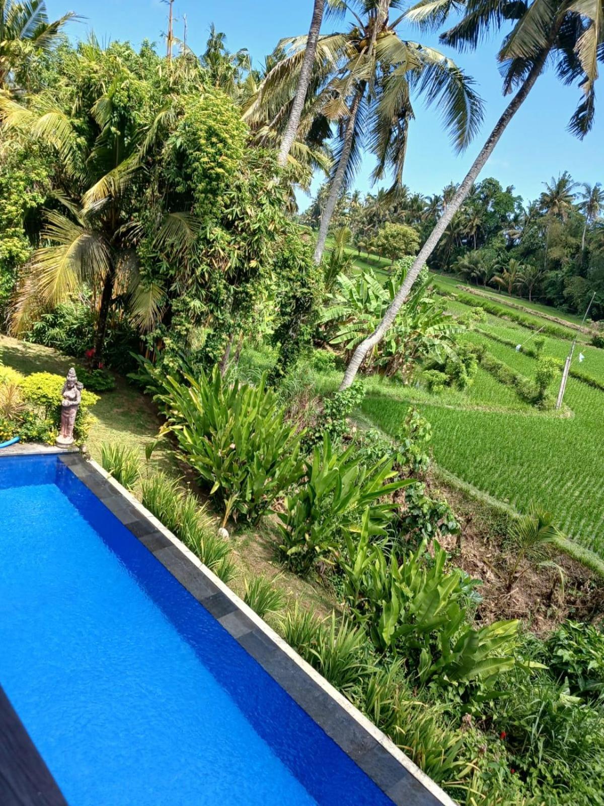 Sunset Pandawa Villa Ubud Exteriér fotografie