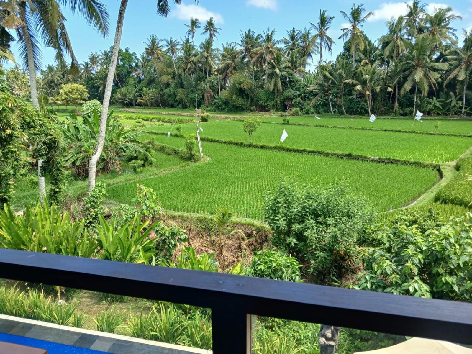 Sunset Pandawa Villa Ubud Exteriér fotografie